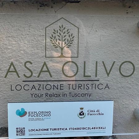 푸체키오 Locazione Turistica Casa Olivo 아파트 외부 사진