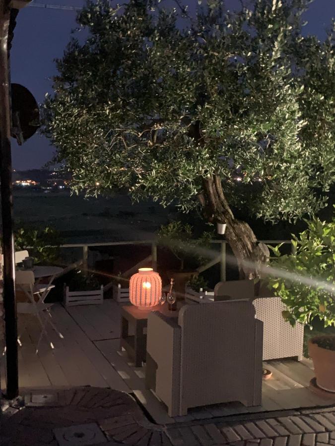 푸체키오 Locazione Turistica Casa Olivo 아파트 외부 사진