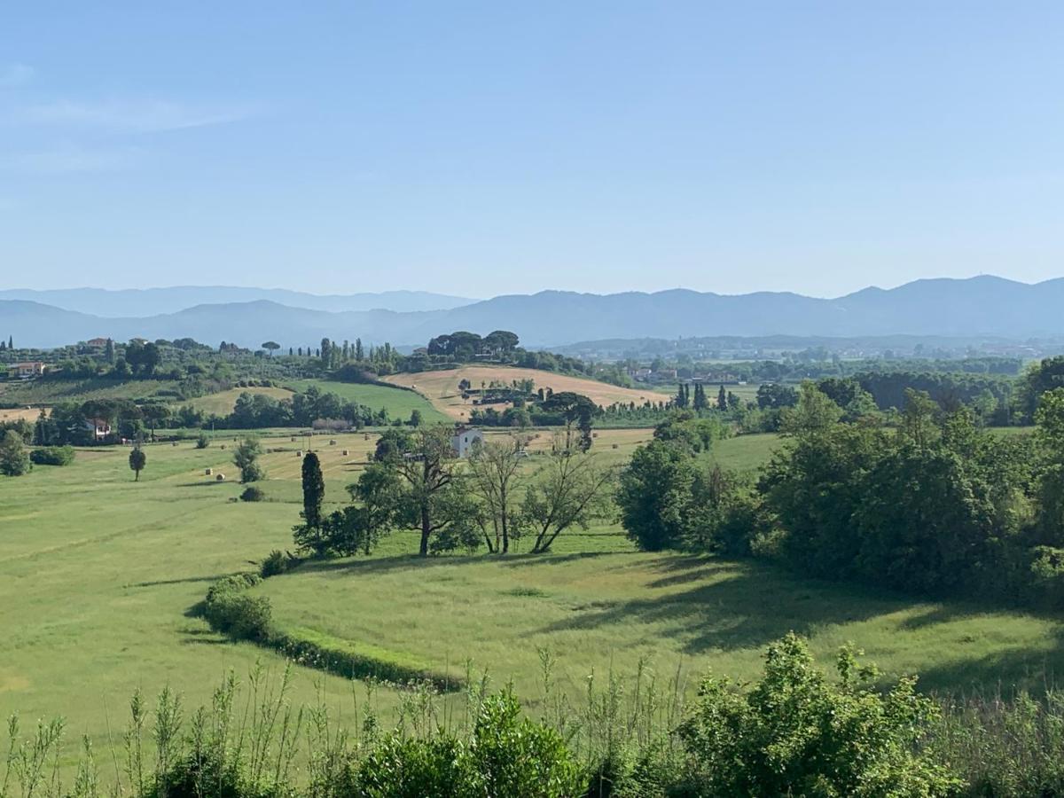 푸체키오 Locazione Turistica Casa Olivo 아파트 외부 사진