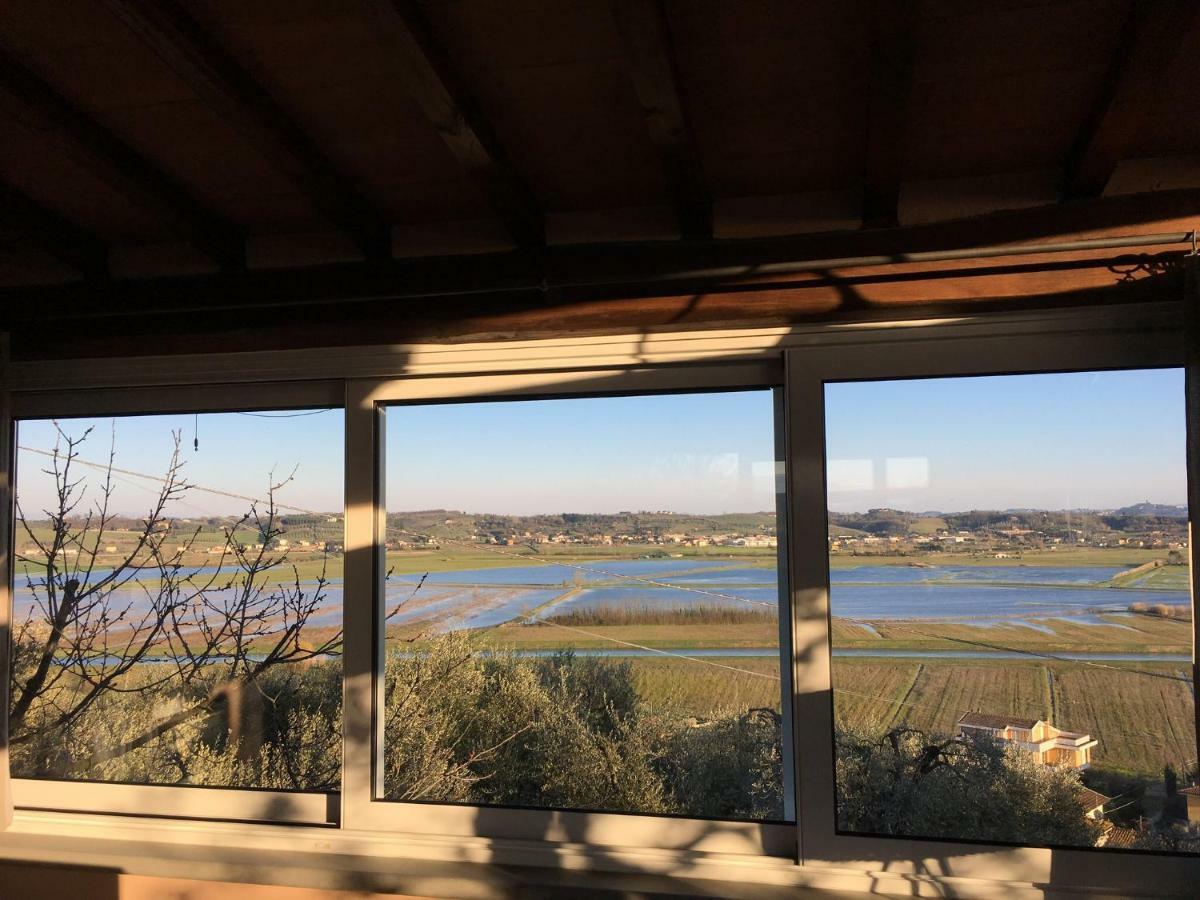 푸체키오 Locazione Turistica Casa Olivo 아파트 외부 사진