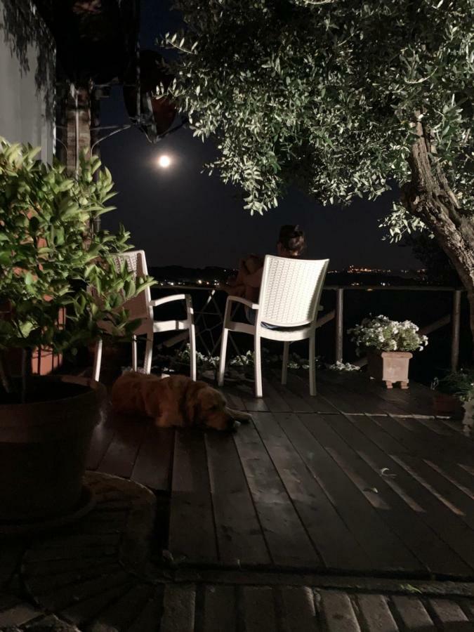 푸체키오 Locazione Turistica Casa Olivo 아파트 외부 사진
