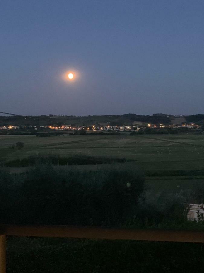 푸체키오 Locazione Turistica Casa Olivo 아파트 외부 사진